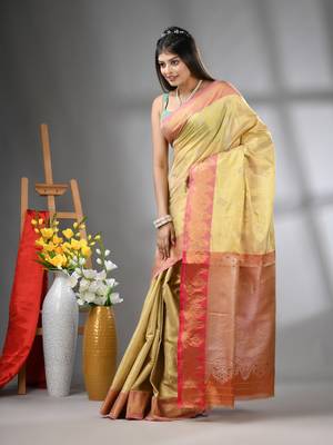 Beige floral motifs tissue silk saree with zari borders 2