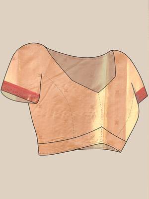 Peach texture motifs tissue silk saree with zari borders 5