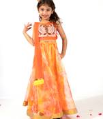 Elaisha girls spaghetti butterfly hand embroidered top and organza flared skirt set - orange