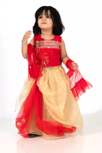 Elaisha girls sequin embroidered crop top & layered organza skirt with net dupatta set - red & gold