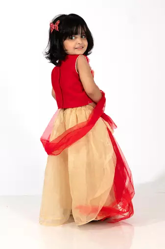 Elaisha girls sequin embroidered crop top & layered organza skirt with net dupatta set - red & gold