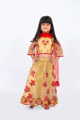 Elaisha girls floral motifs heavily embroidered top & ghagra with net dupatta set - beige & red 1