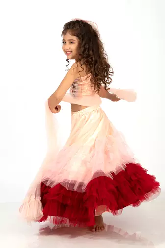 Elaisha girls spaghetti top with embroidered butterfly motif & gradient layered net skirt set - peach & maroon