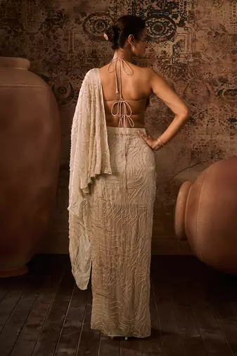 Chikoo embroidered top with drape skirt