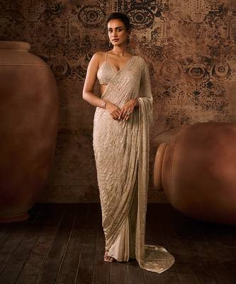Chikoo embroidered blouse with saree 2