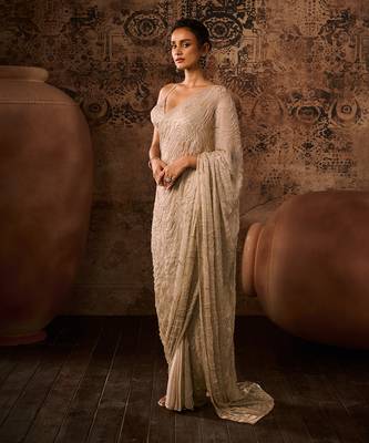 Chikoo embroidered blouse with saree 3