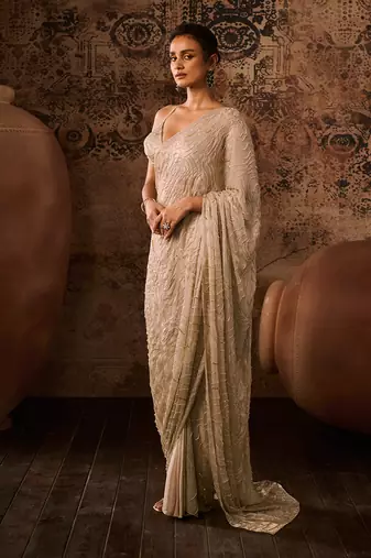 Chikoo embroidered blouse with saree