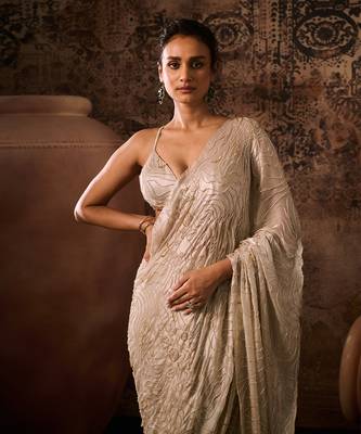 Chikoo embroidered blouse with saree 4