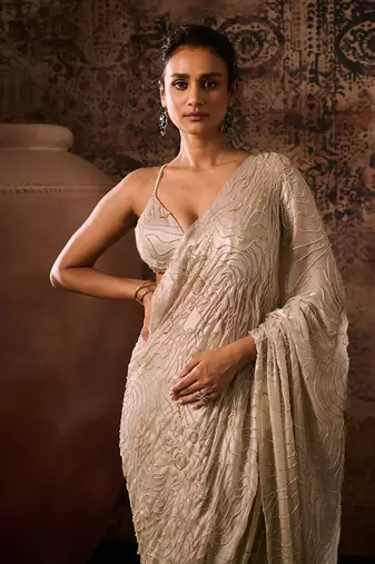 Chikoo embroidered blouse with saree