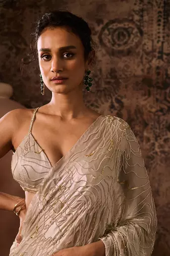 Chikoo embroidered blouse with saree