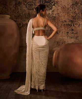 Chikoo embroidered blouse with saree 6