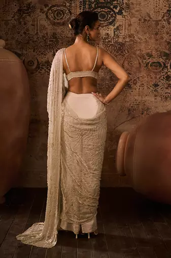Chikoo embroidered blouse with saree