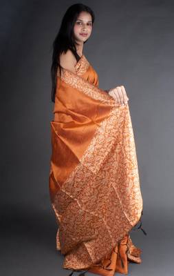 Brown Raw Silk Designer Rich Pallu And Designer Border Saree With Blouse For Women 5