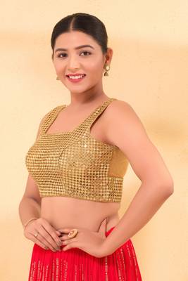 Mmore Women's Net Self Design Readymade Padded Saree Blouse 3