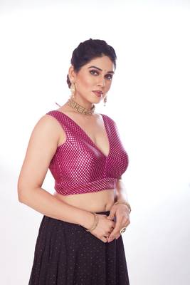 Mmore Women's Banaras Jaquard Printed Readymade Padded Saree Blouse 4