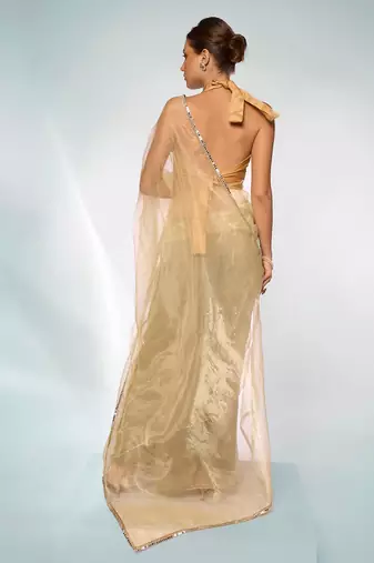 Embellished Sequinned Organza Saree