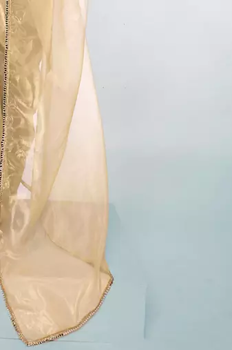 Embellished Sequinned Organza Saree