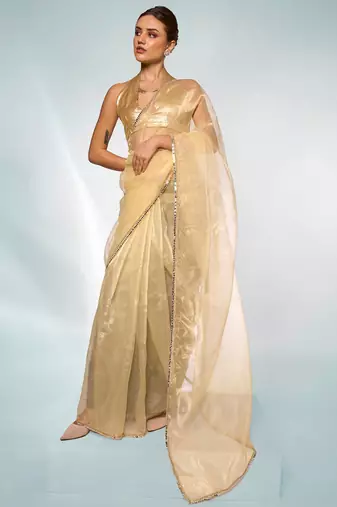 Embellished Sequinned Organza Saree