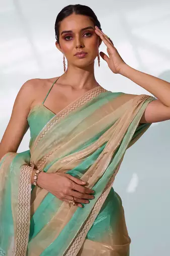 Embellished Beads And Stones Organza Saree