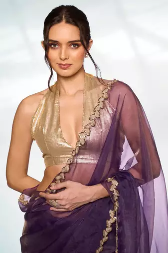 Embellished Sequinned Organza Saree