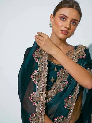 Embroidered Embellished Saree 3