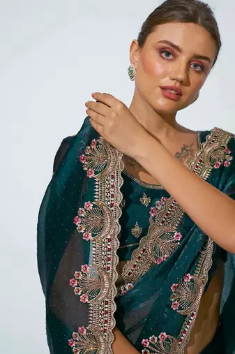 Embroidered Embellished Saree