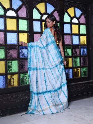 All over foliage embroidery white and sky blue silk saree with chanderi borders 3