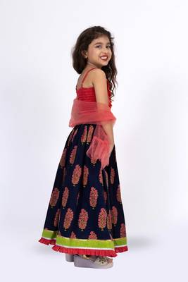 Twisha strppy crisscrossed  frilled top with ghagra set - pink & blue 4