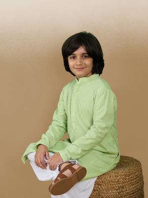 Dapper & dazzling boys solid light green chikankari party wear cotton kurta by sanwara 1