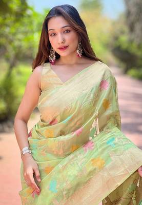 Pastel green organza jaal zari woven saree 2
