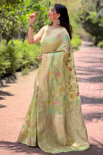 Pastel green organza jaal zari woven saree