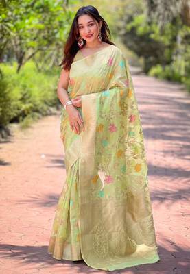 Pastel green organza jaal zari woven saree 1