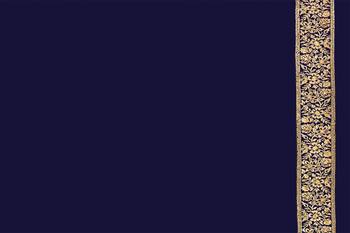 Embroidered Zari Resham Patch Border Georgette Navy Blue Saree With Matching Blouse Piece 5