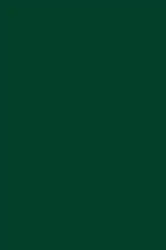 Embroidered Zari Resham Patch Border Georgette Bottle Green Saree With Matching Blouse Piece