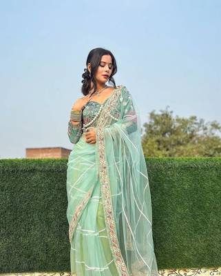 Light Green Colour Premium Net Fabric Handwork With Blouse 1
