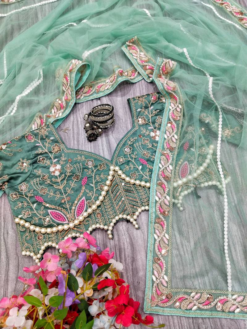 Light Green Colour Premium Net Fabric Handwork With Blouse