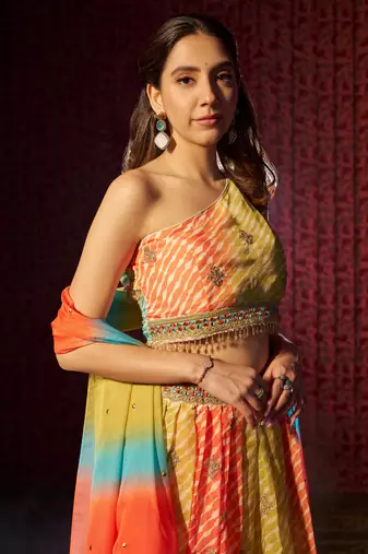 Multicolored Organza Embroidered And Printed Lehenga Dress