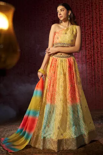Multicolored Organza Embroidered And Printed Lehenga Dress