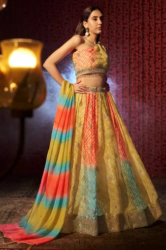 Multicolored Organza Embroidered And Printed Lehenga Dress