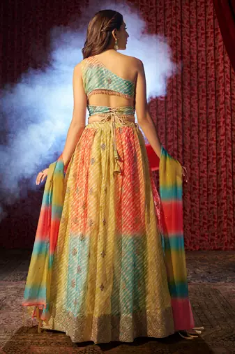 Multicolored Organza Embroidered And Printed Lehenga Dress
