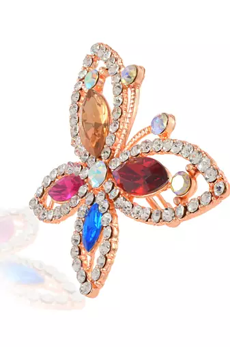 Rose gold multi colour cz saree pin & brooch