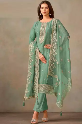 Light green organza silk salwar suit with dupatta
