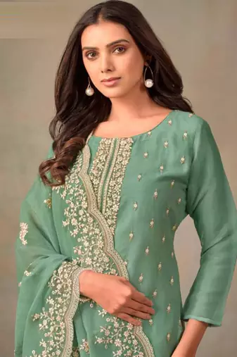 Light green organza silk salwar suit with dupatta