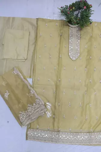 Light yellow organza silk salwar suit with dupatta