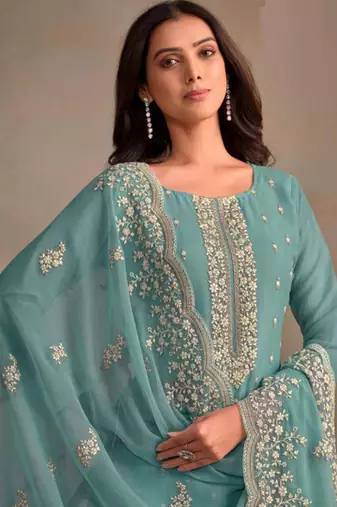 Sky blue organza silk salwar suit with dupatta