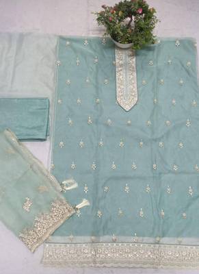 Sky blue organza silk salwar suit with dupatta 3