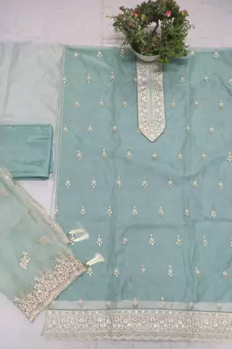 Sky blue organza silk salwar suit with dupatta