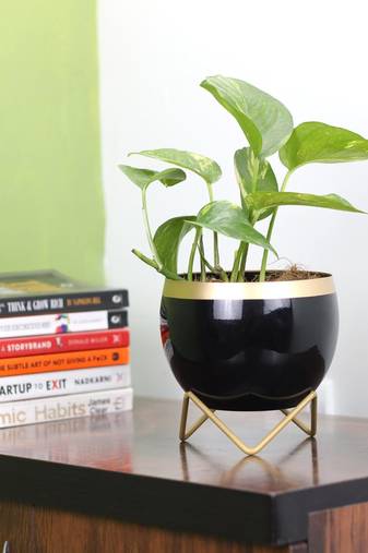 Voidrop Round Shape Small Size Table Planters 