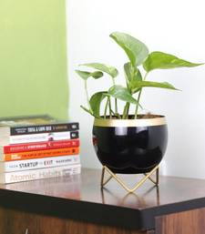 Voidrop Round Shape Small Size Table Planters 