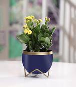Voidrop Round Shape Small Size Table Planters